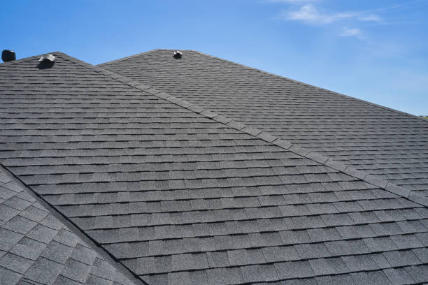 Best Green or Eco-Friendly Roofing Solutions  in Lmar, DE